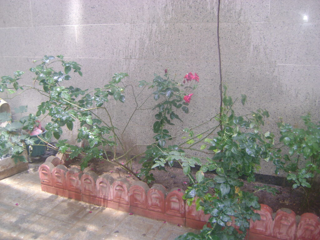 دوطبقه مسکونی و مغازه